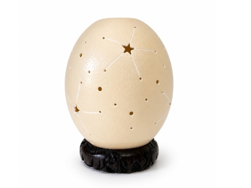 Carved Ostrich Eggs - Stars
